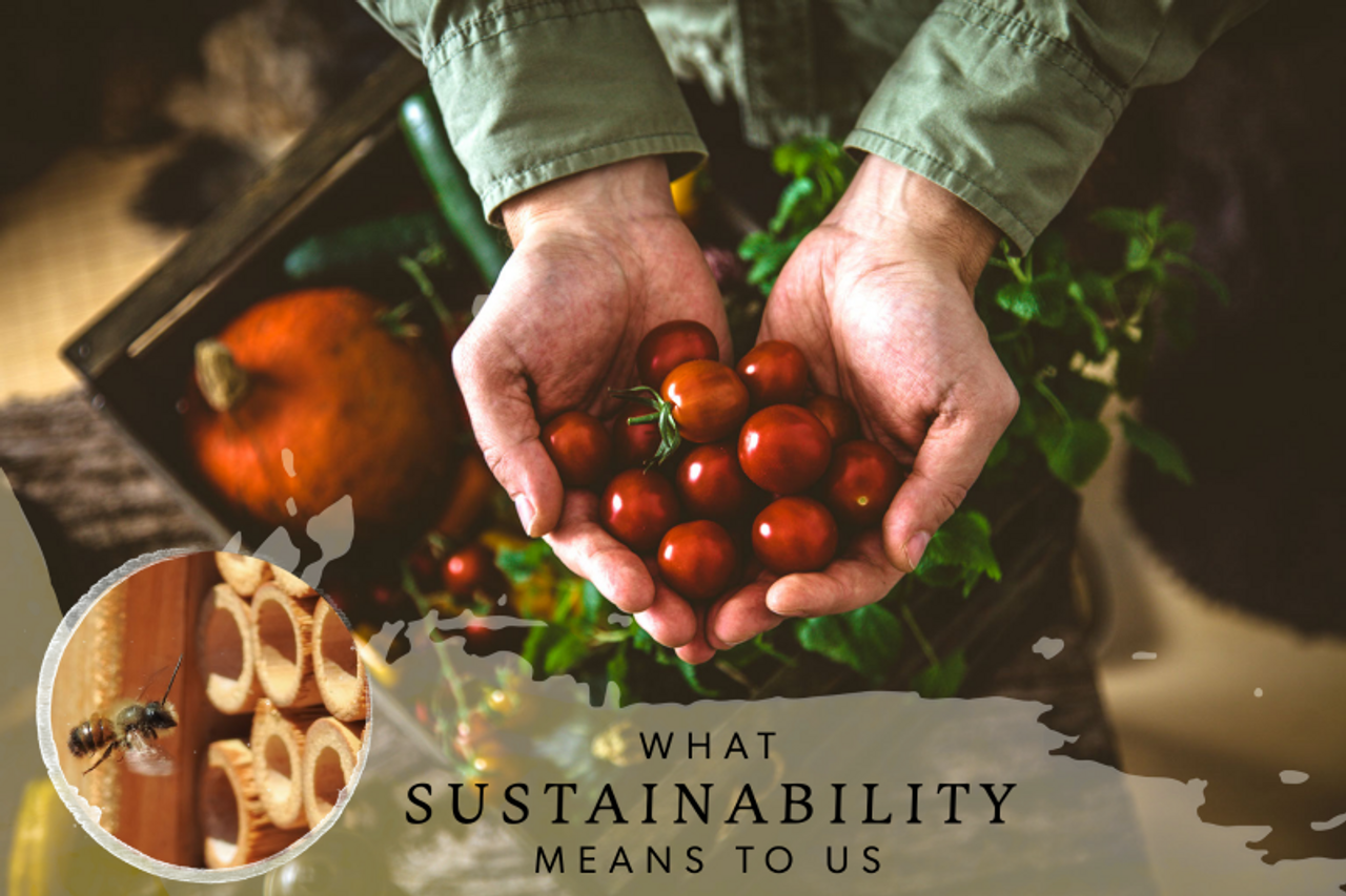 What Sustainability Means to Us