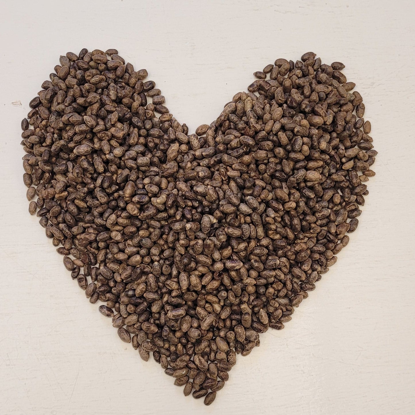 Fall Mason Bee Harvest Party Handouts