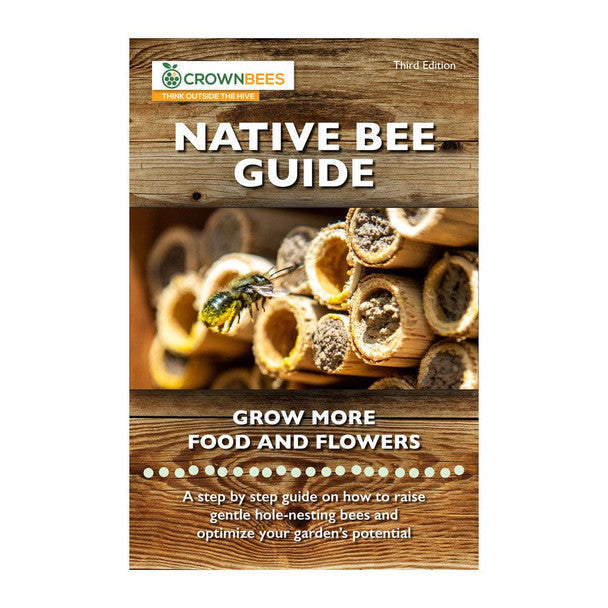Villa Bee House Kit with Bees