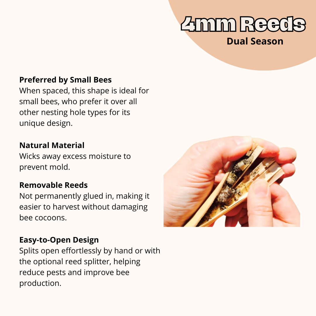 DIY Wild Bee Pollinator Set