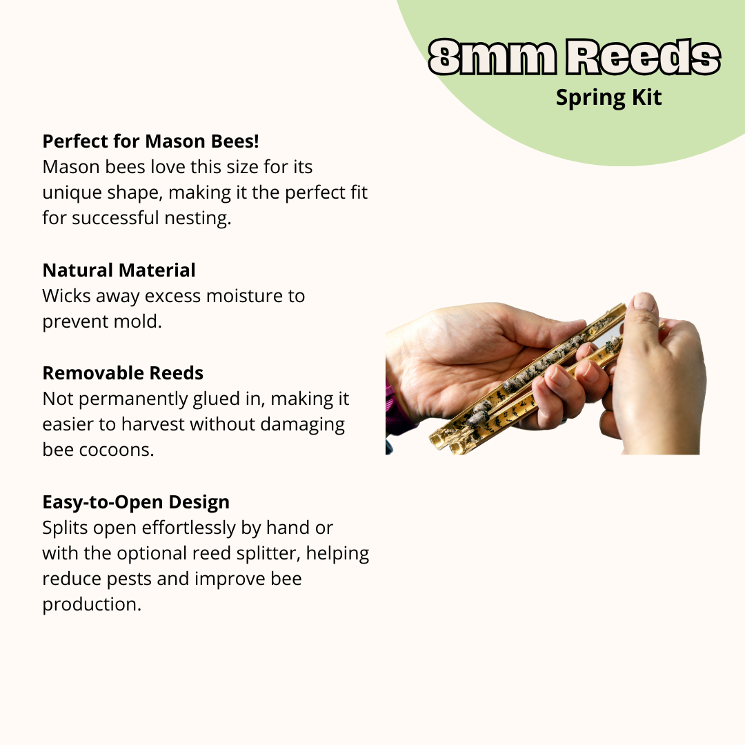 DIY Wild Bee Pollinator Set