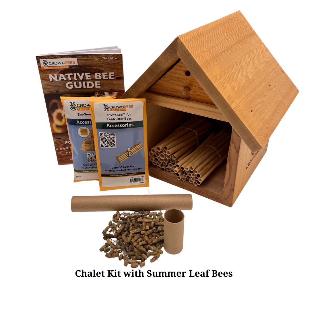 Chalet Bee House Kit with Bees