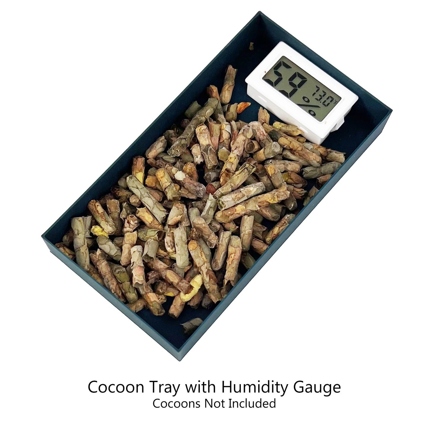 Summer Leaf Bee Incubation Kit