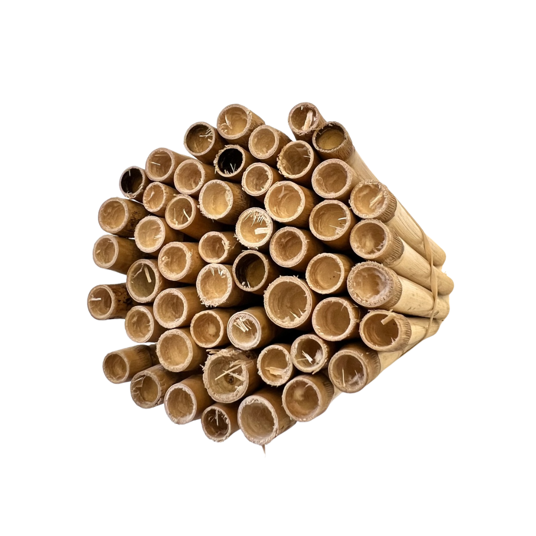 DIY Wild Bee Pollinator Set