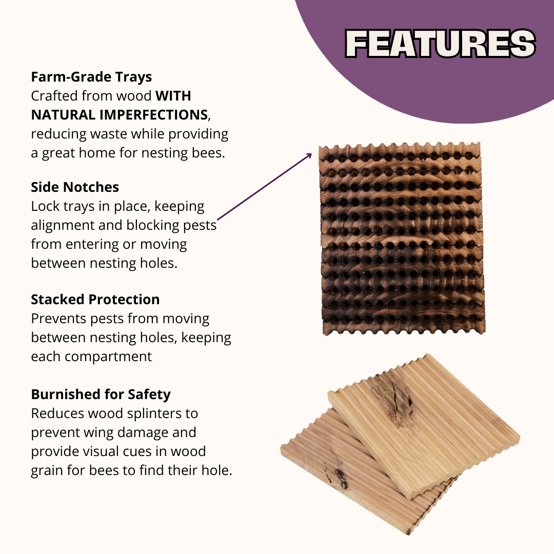 Summer Farm Grade Reusable Wood Trays for Summer Leaf Bees - 6mm