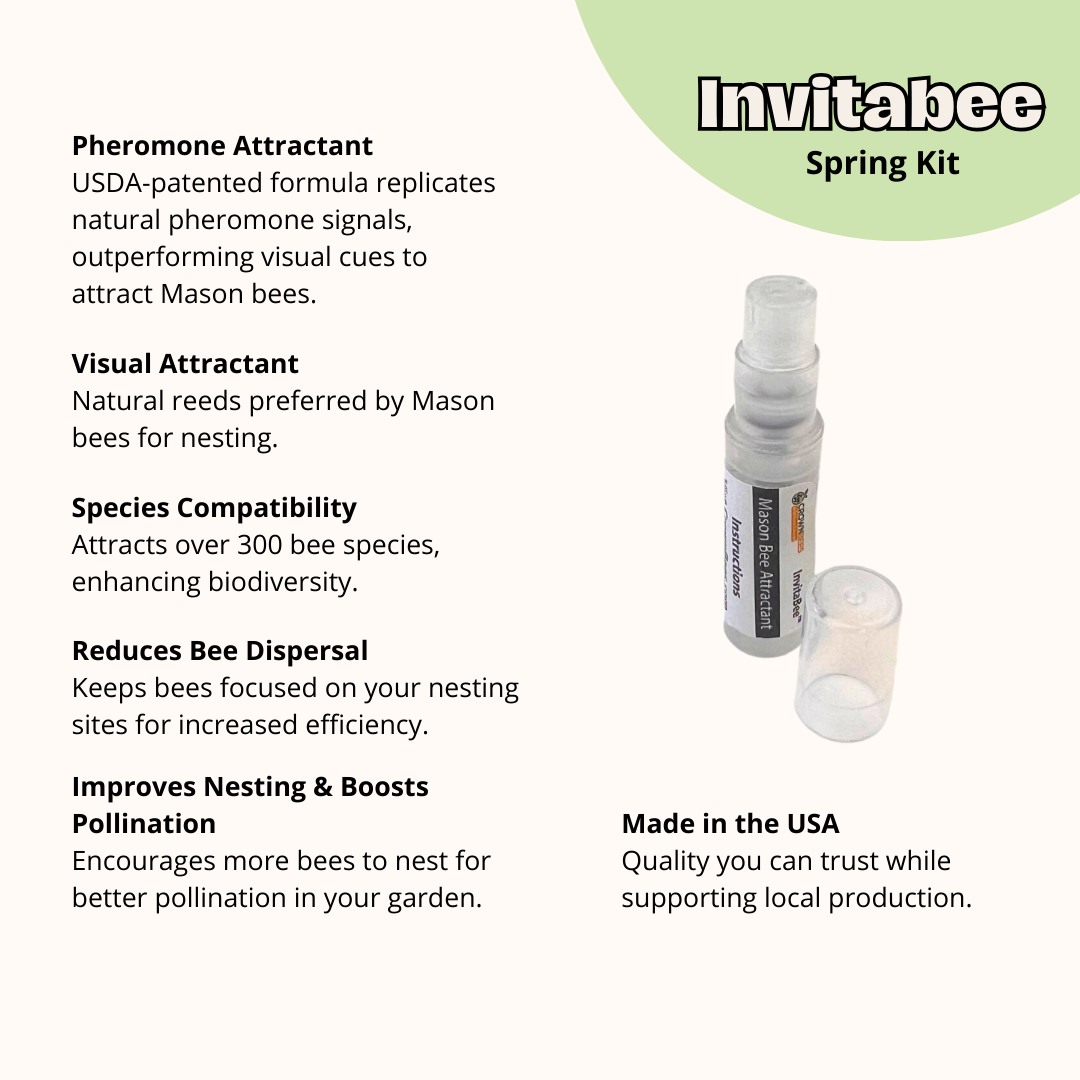 DIY Wild Bee Pollinator Set