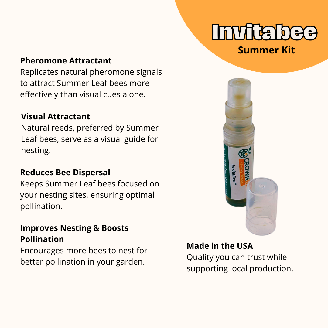 DIY Wild Bee Pollinator Set