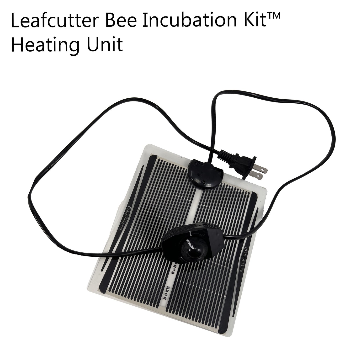 Summer Leaf Bee Incubation Kit