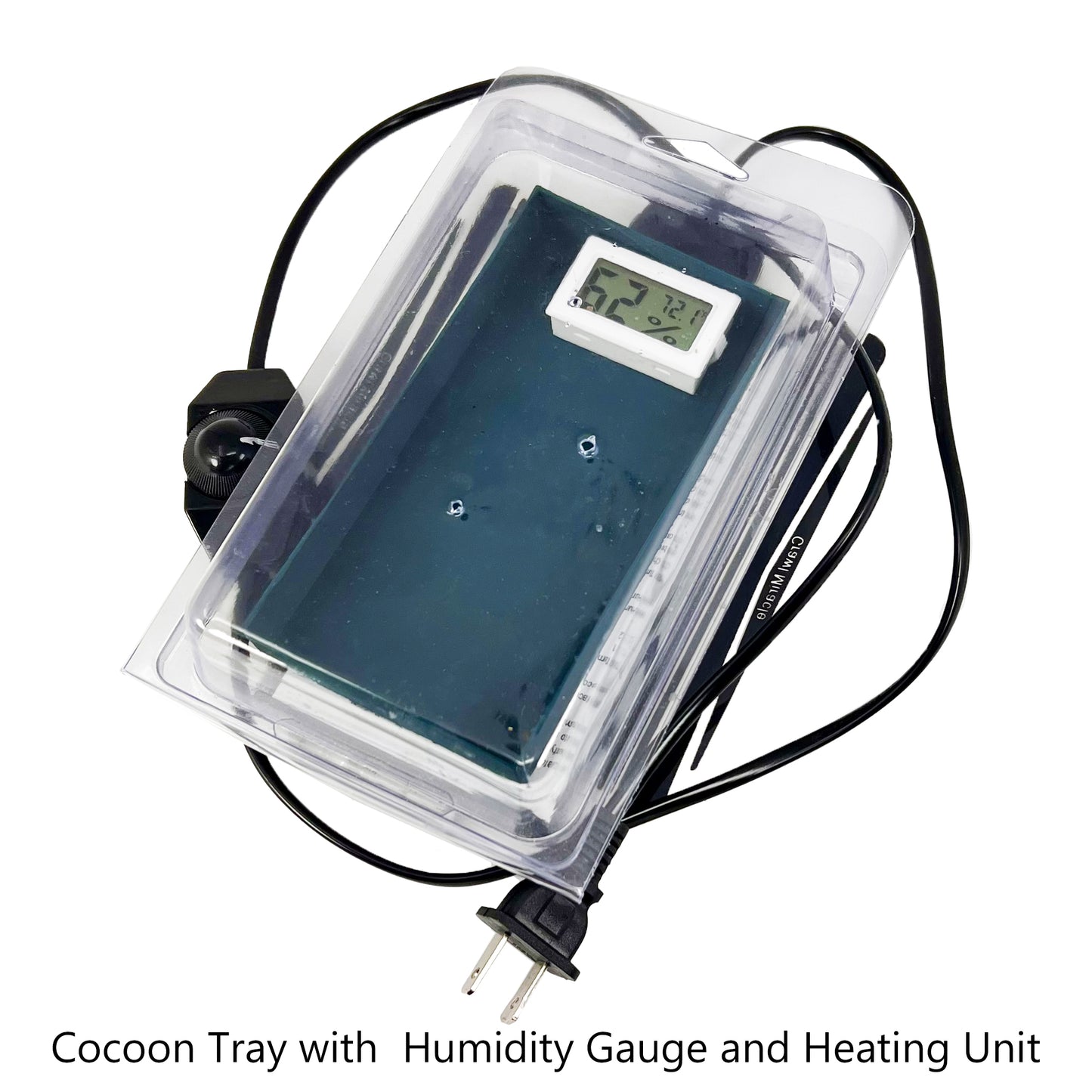 Summer Leaf Bee Incubation Kit