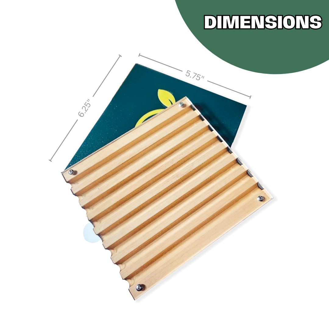 Bee Observer - Solitary Bee Observation Tray