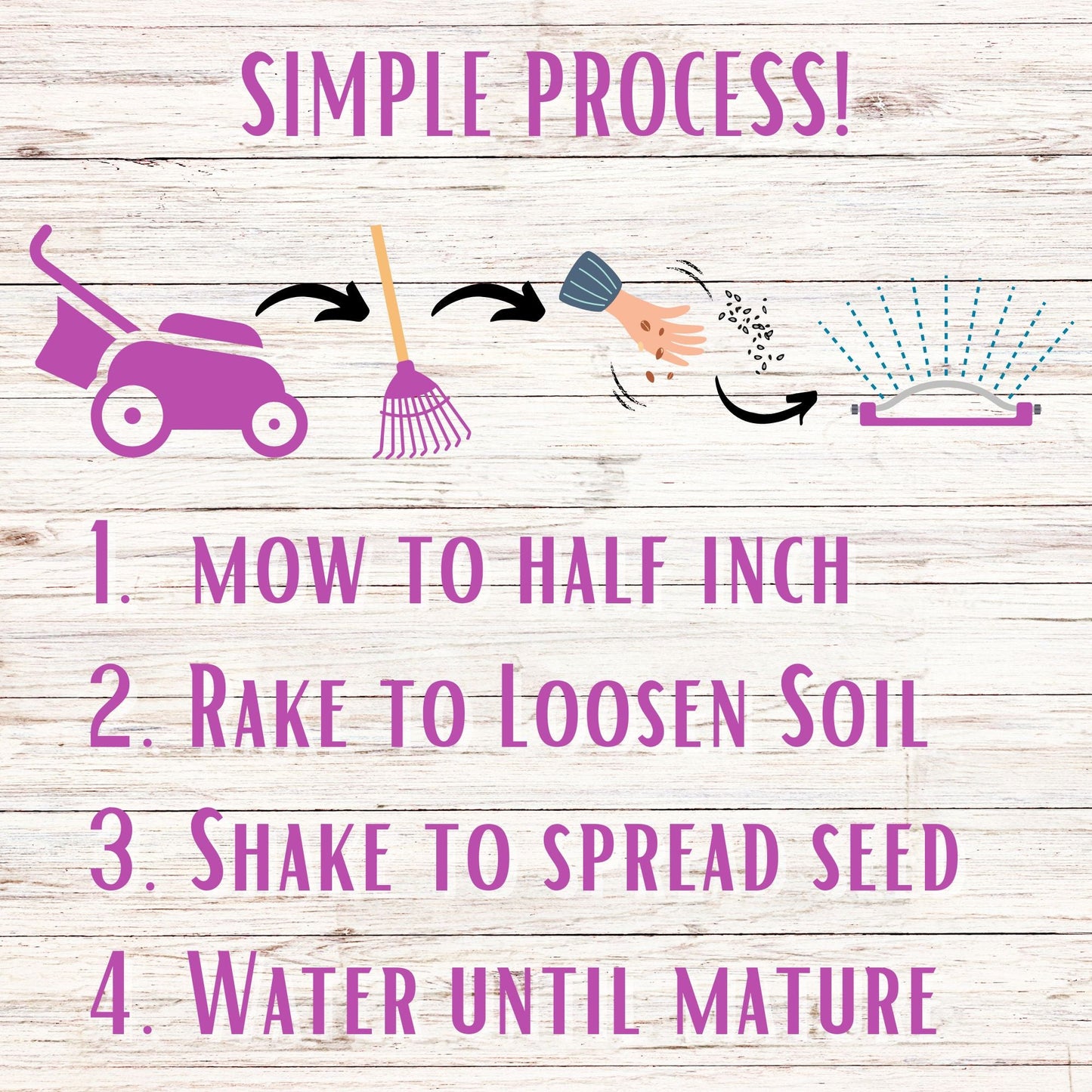 Sweet Alyssum Royal Carpet Seed Pouch