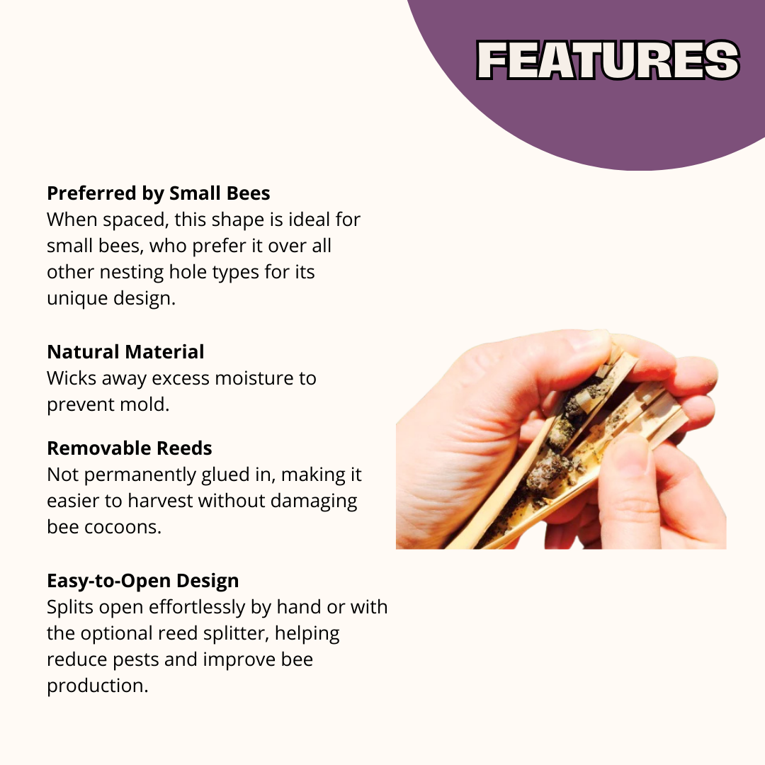 Small Natural Reeds for Wild Bees