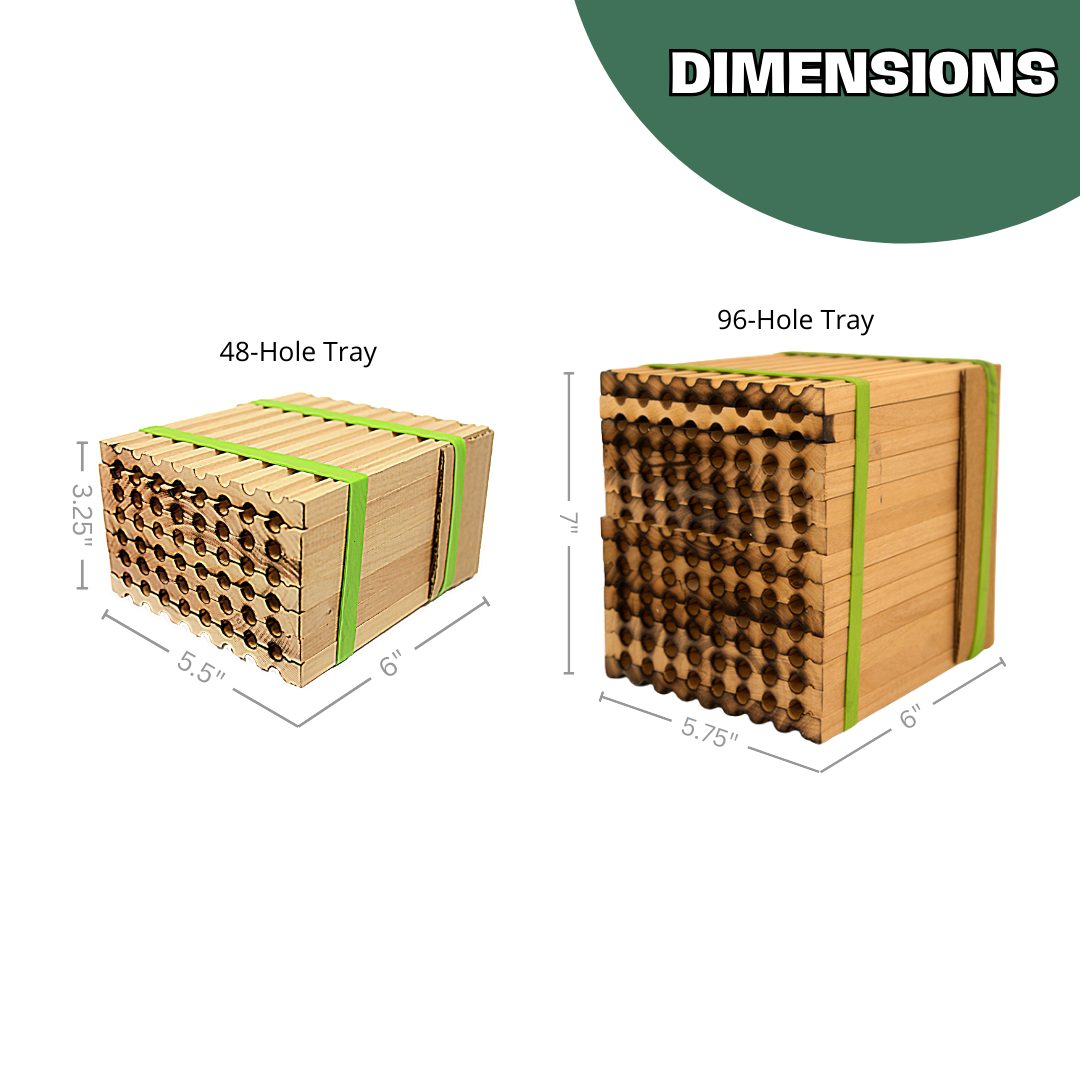 Color-Enhanced Spring Wood Trays for Mason Bees - 8mm