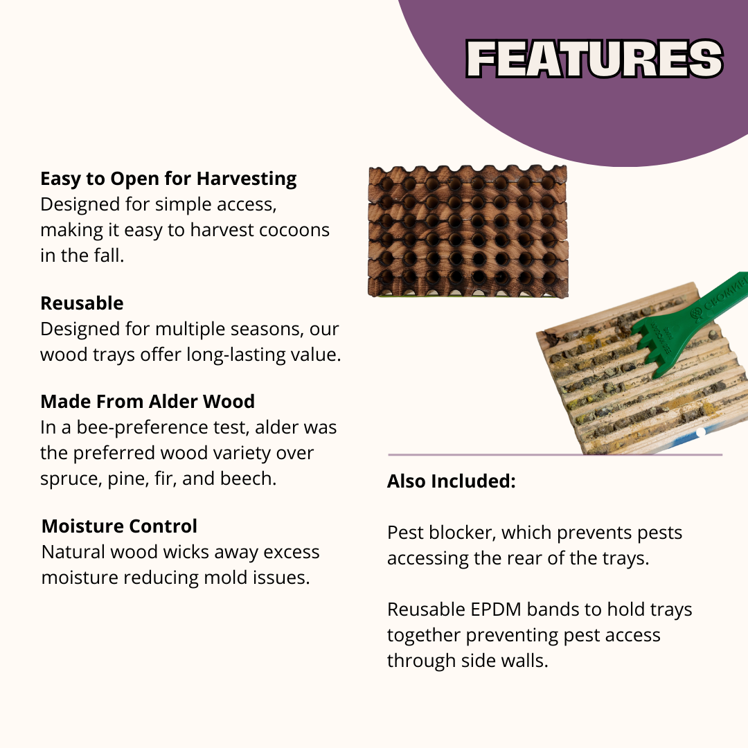 Color-Enhanced Spring Wood Trays for Mason Bees - 8mm