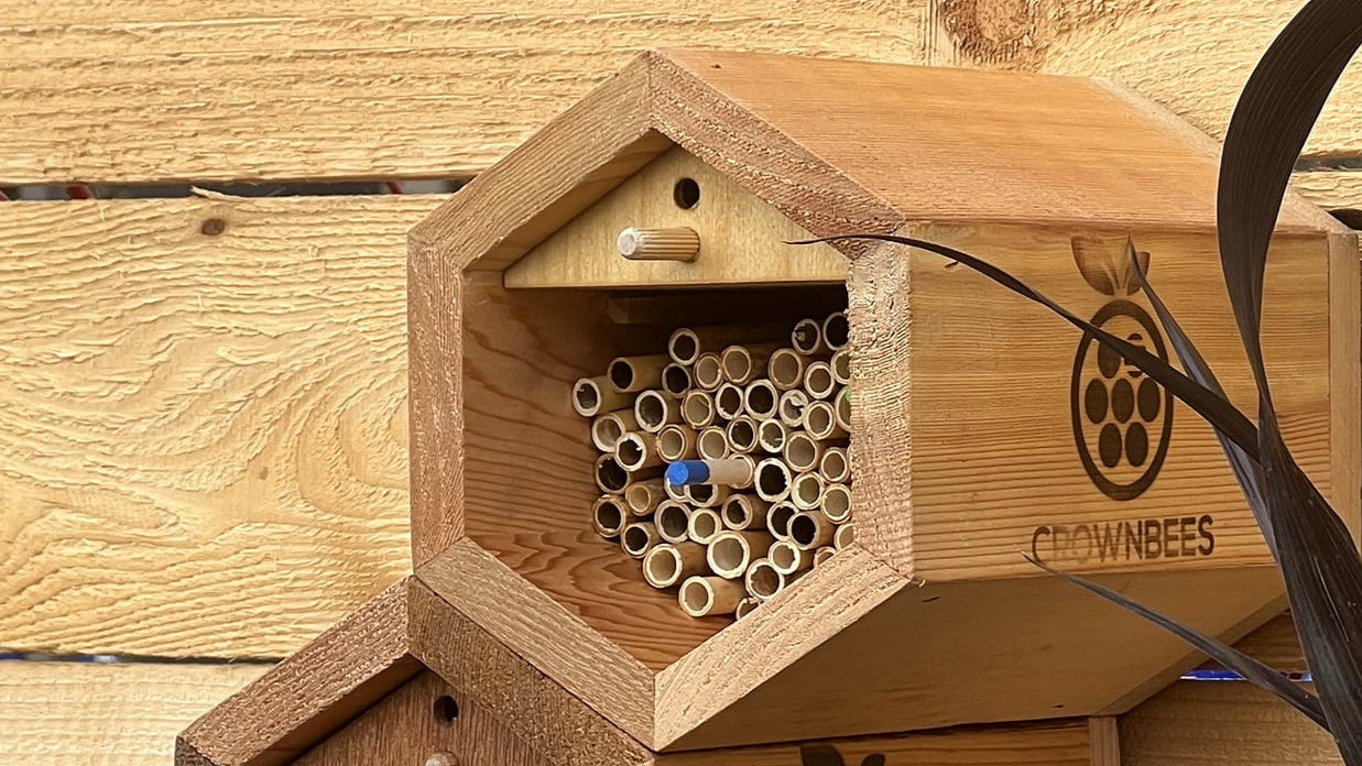 CrownBees