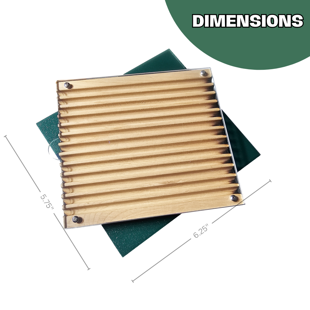 Bee Observer - Solitary Bee Observation Tray
