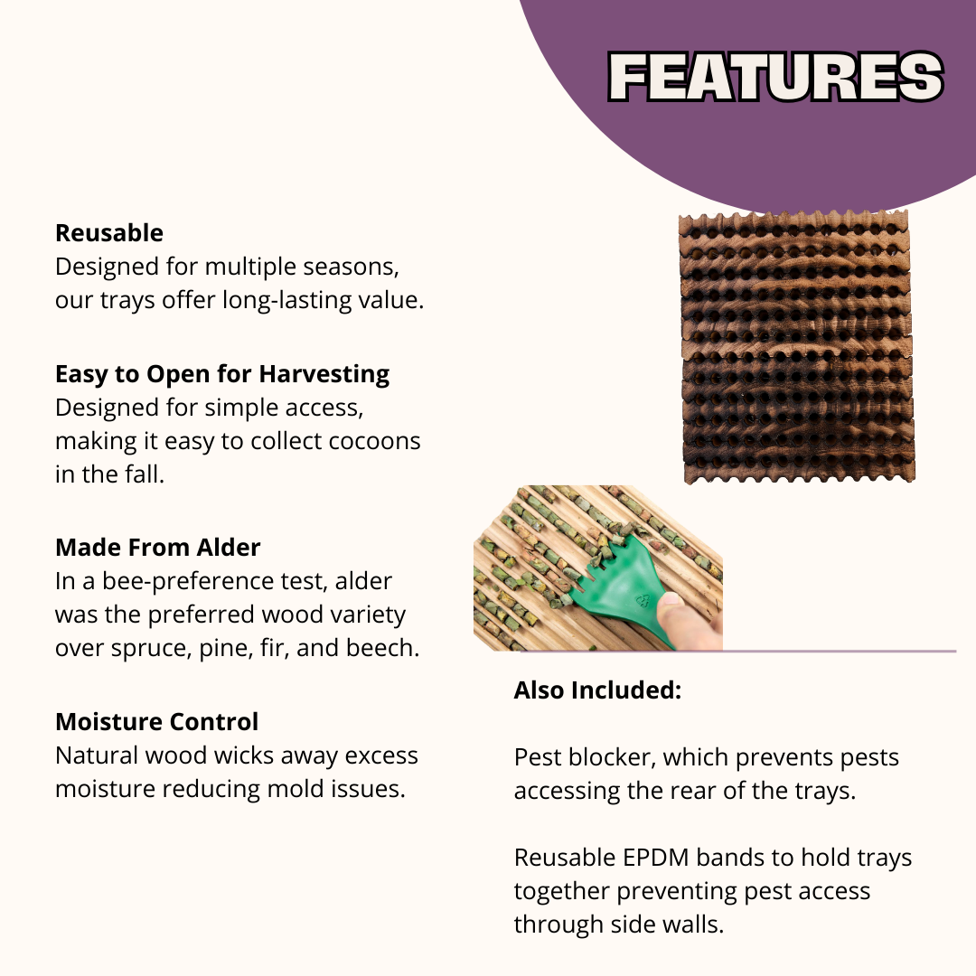 Summer Reusable Wood Trays for Summer Leaf Bees