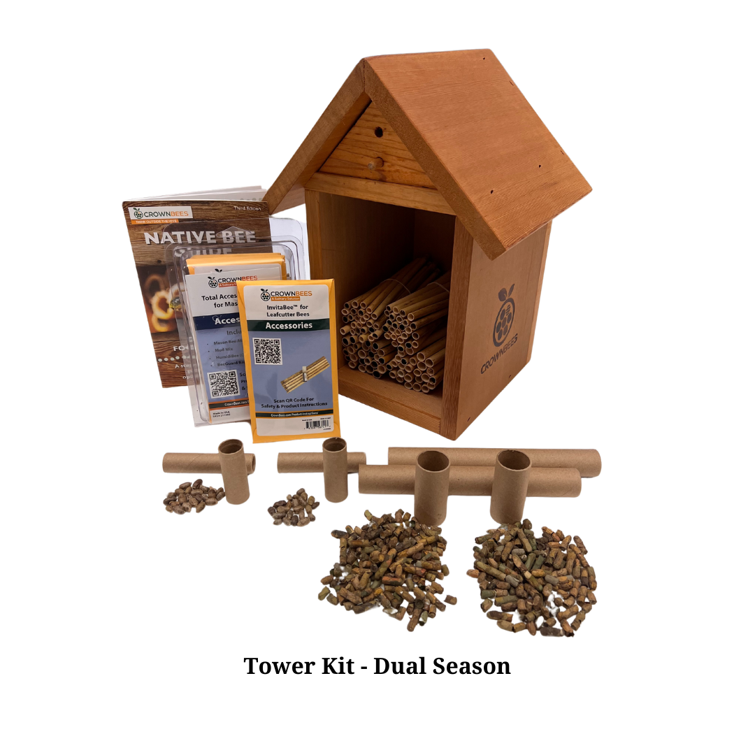 Tower Bee House Kit with Bees