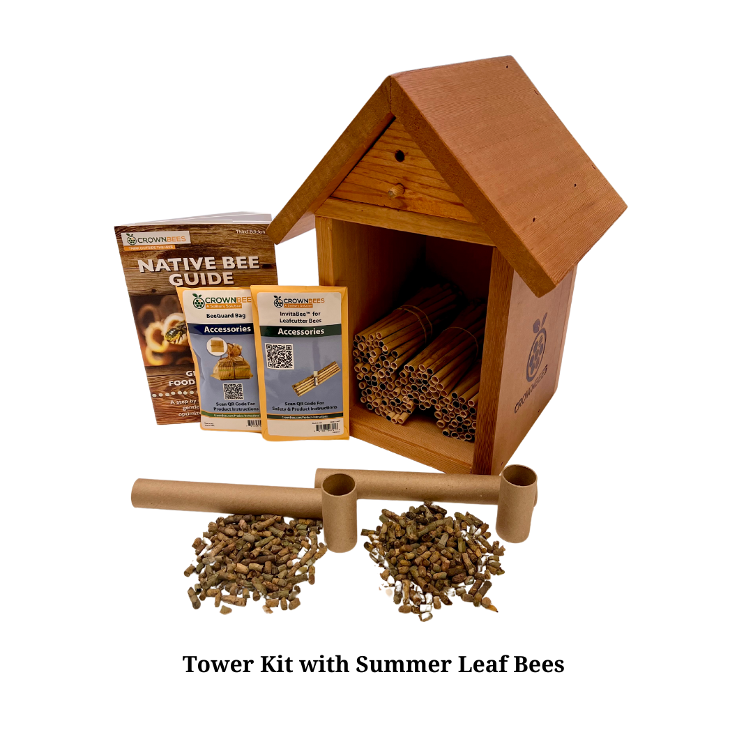 Tower Bee House Kit with Bees