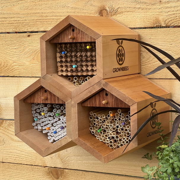 Villa Bee House Kit with Bees