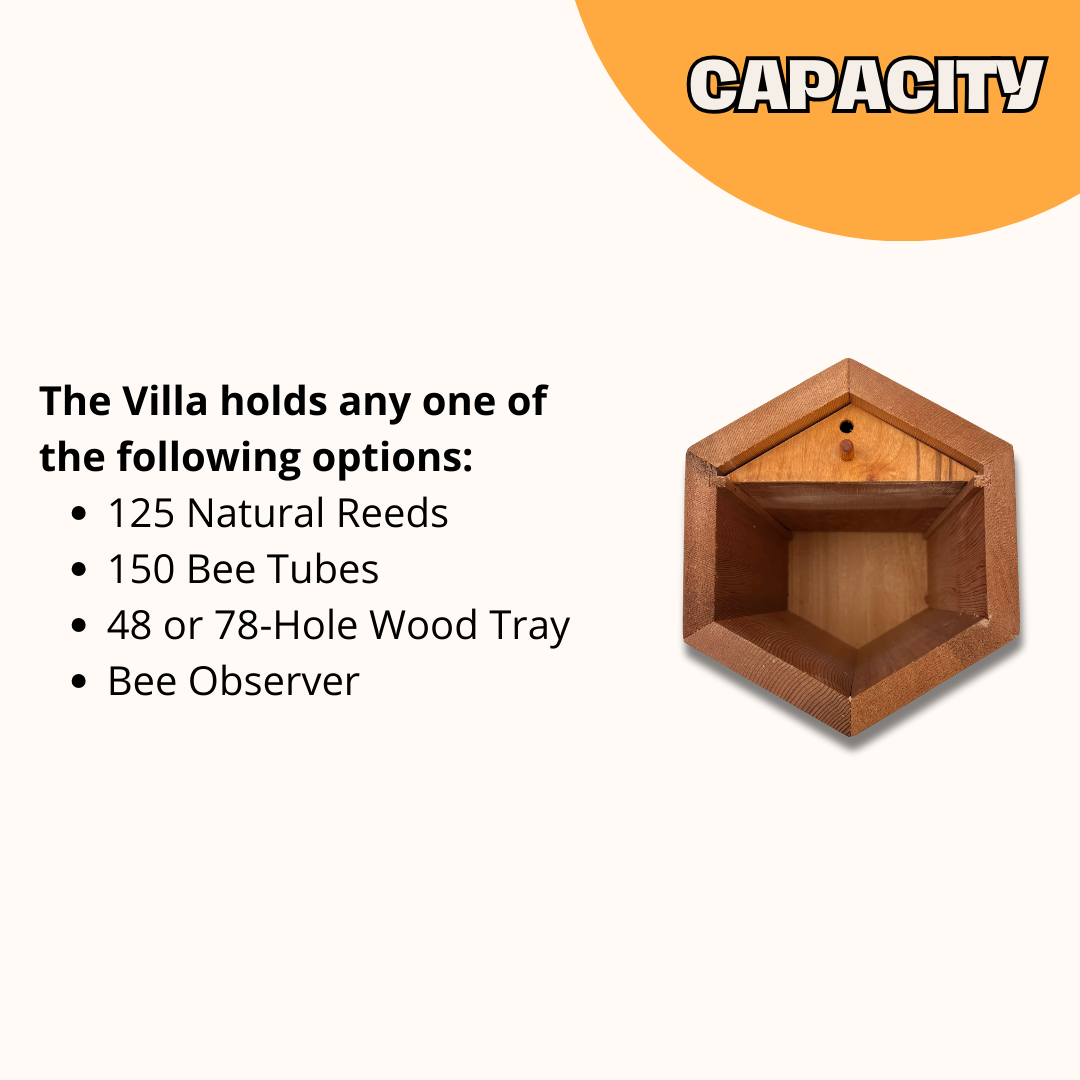 Villa Bee House - Large Hex