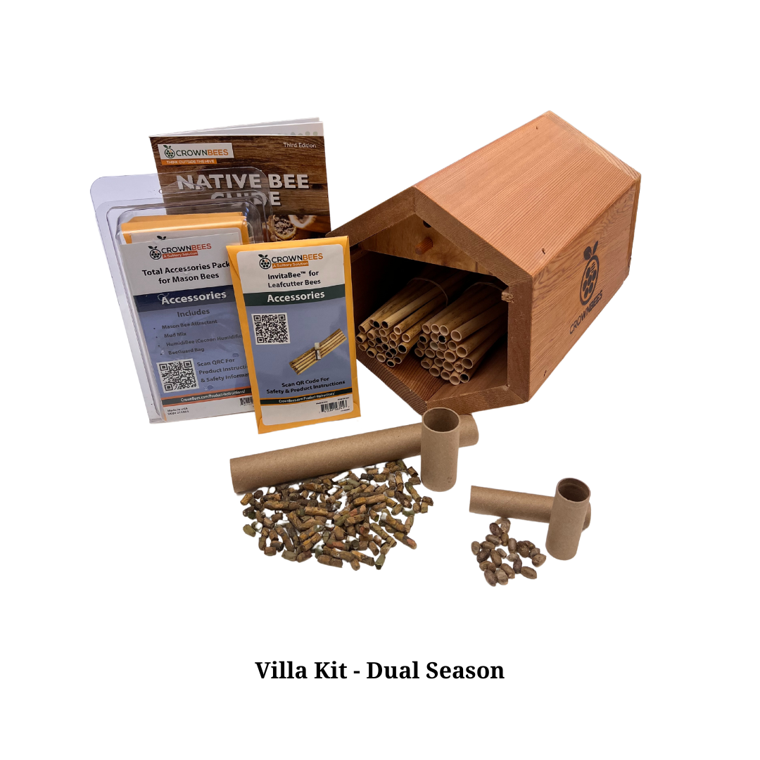 Villa Bee House Kit with Bees