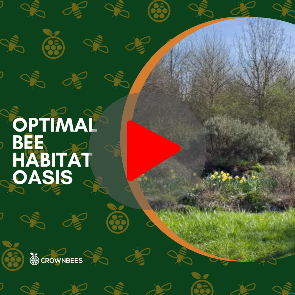 Optimal Bee Oasis