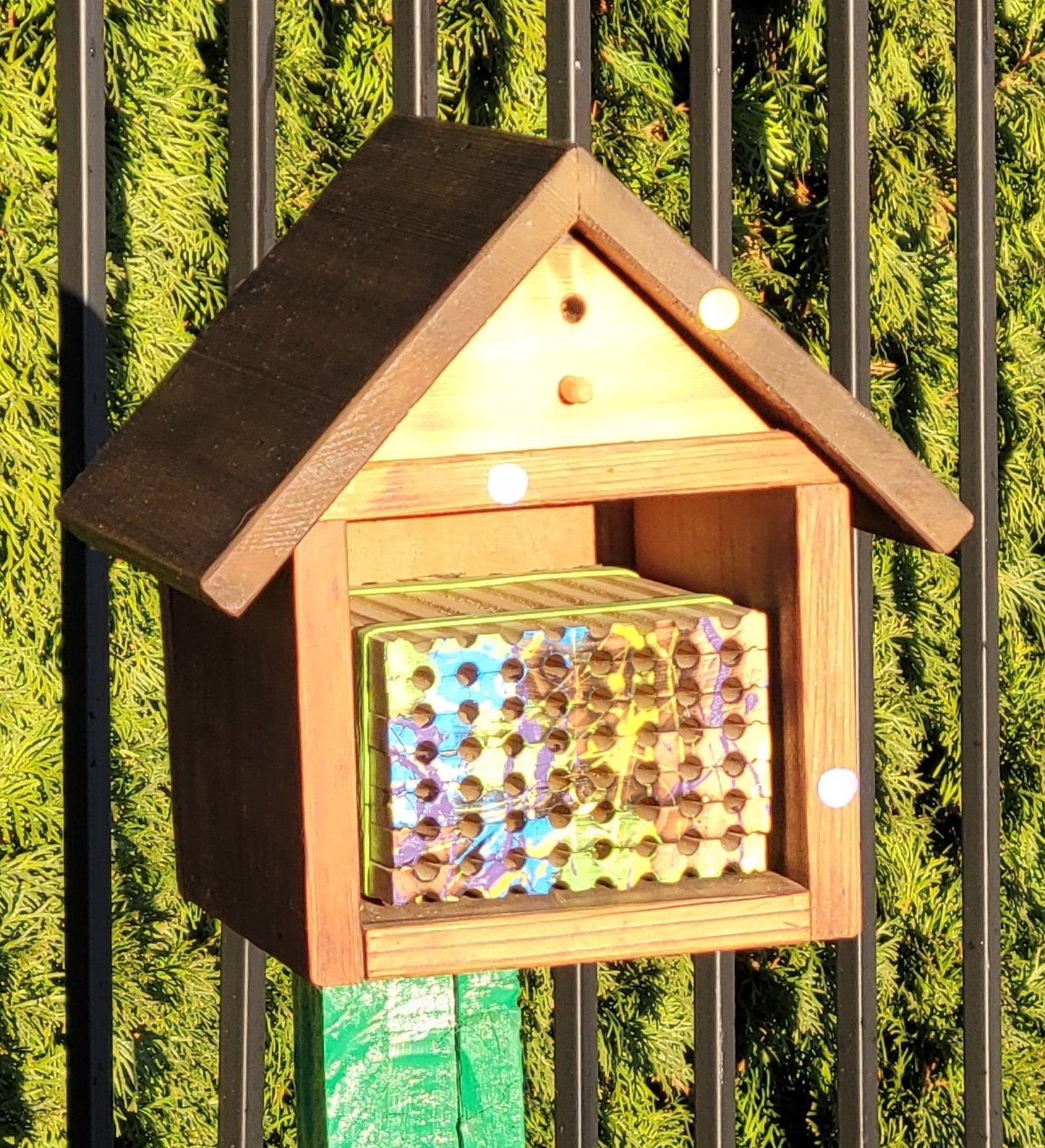 Color-Enhanced Spring Wood Trays for Mason Bees - 8mm