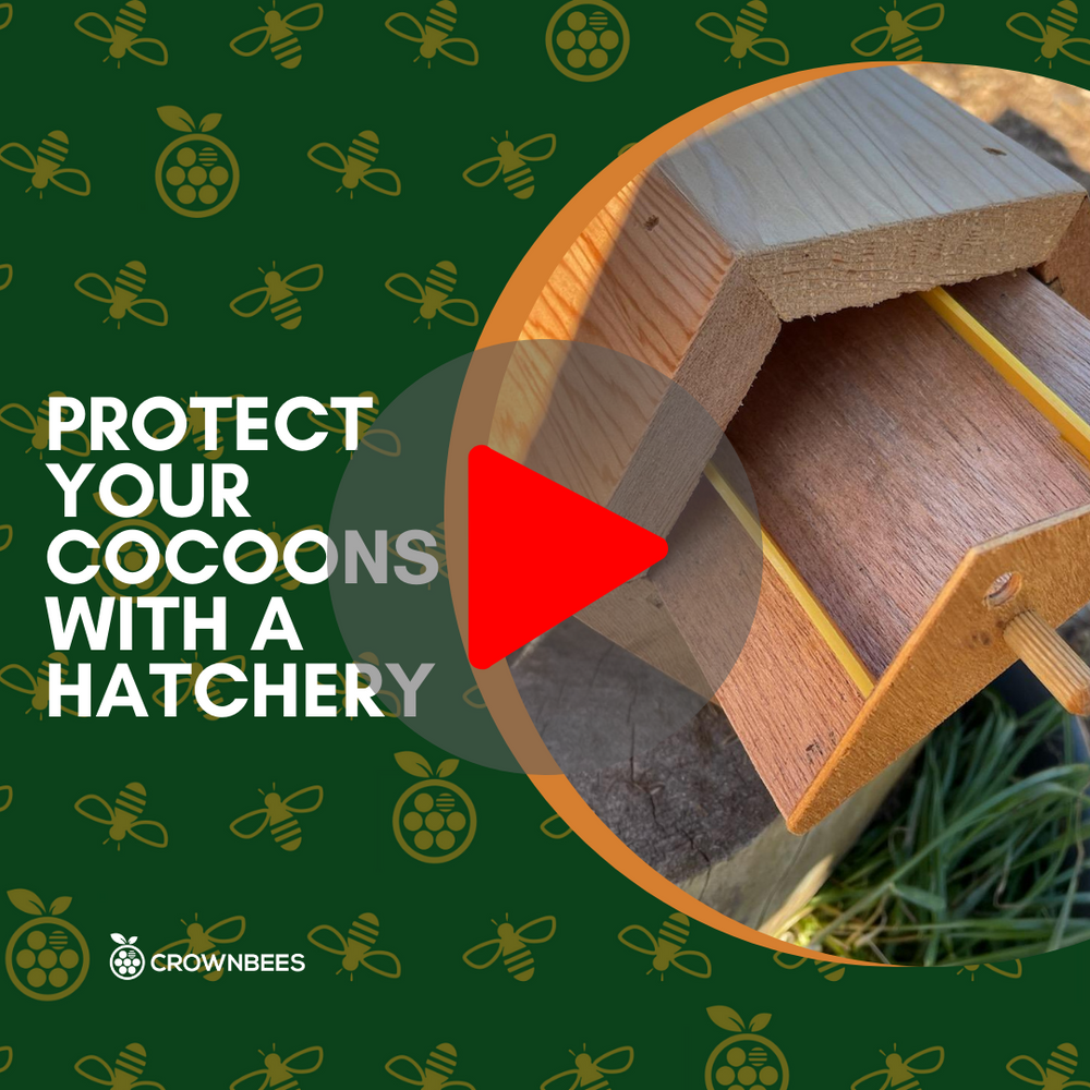 Protect Your Cocoons