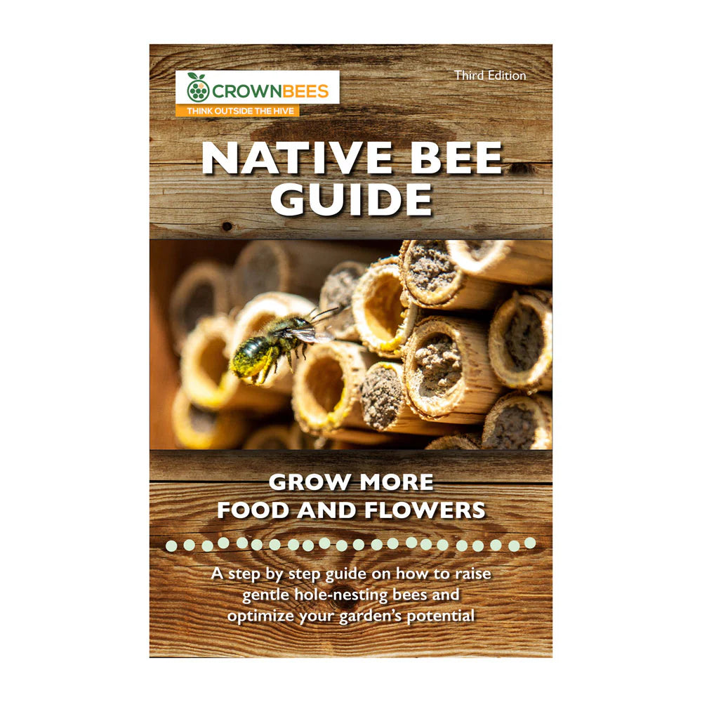 DIY Wild Bee Pollinator Set