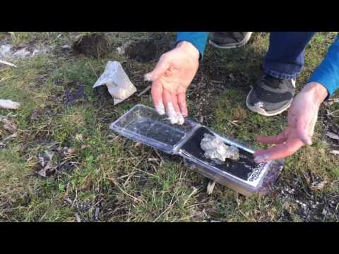 Spring Mason Bee Mud Box