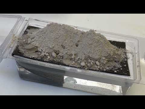 Load and play video in Gallery viewer, Spring Mason Bee Mud Box