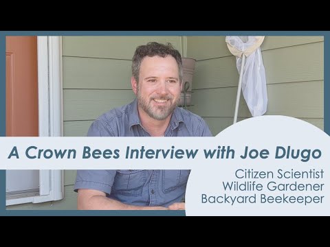 Load and play video in Gallery viewer, Native Bees of Washington State Poster
