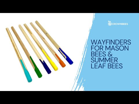 Load and play video in Gallery viewer, Bee Wayfinders - Mason Bees