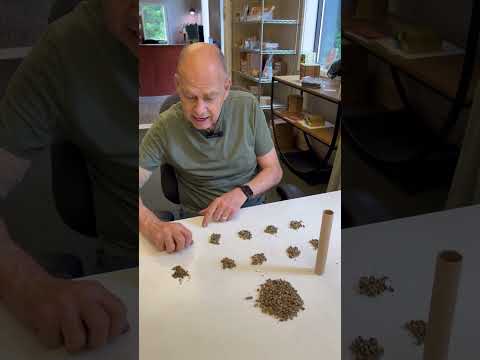 Load and play video in Gallery viewer, Summer Leaf Bees (200ct) + FedEx 2Day FREE Shipping