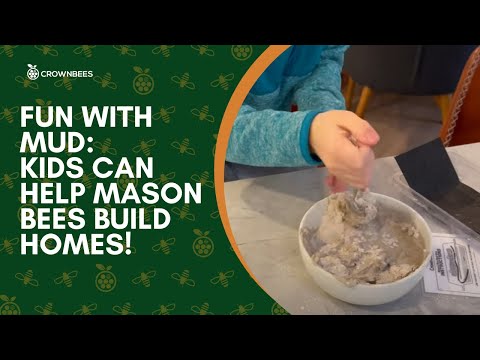 Load and play video in Gallery viewer, Spring Mason Bee Mud Mix