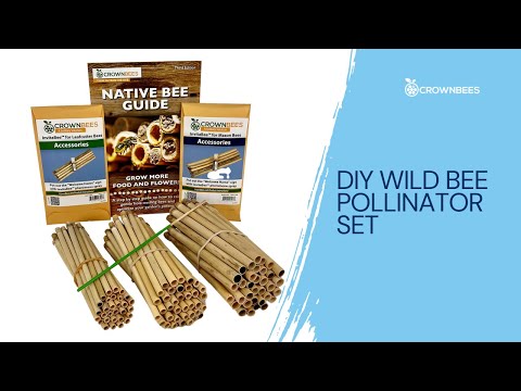 Load and play video in Gallery viewer, DIY Wild Bee Pollinator Set