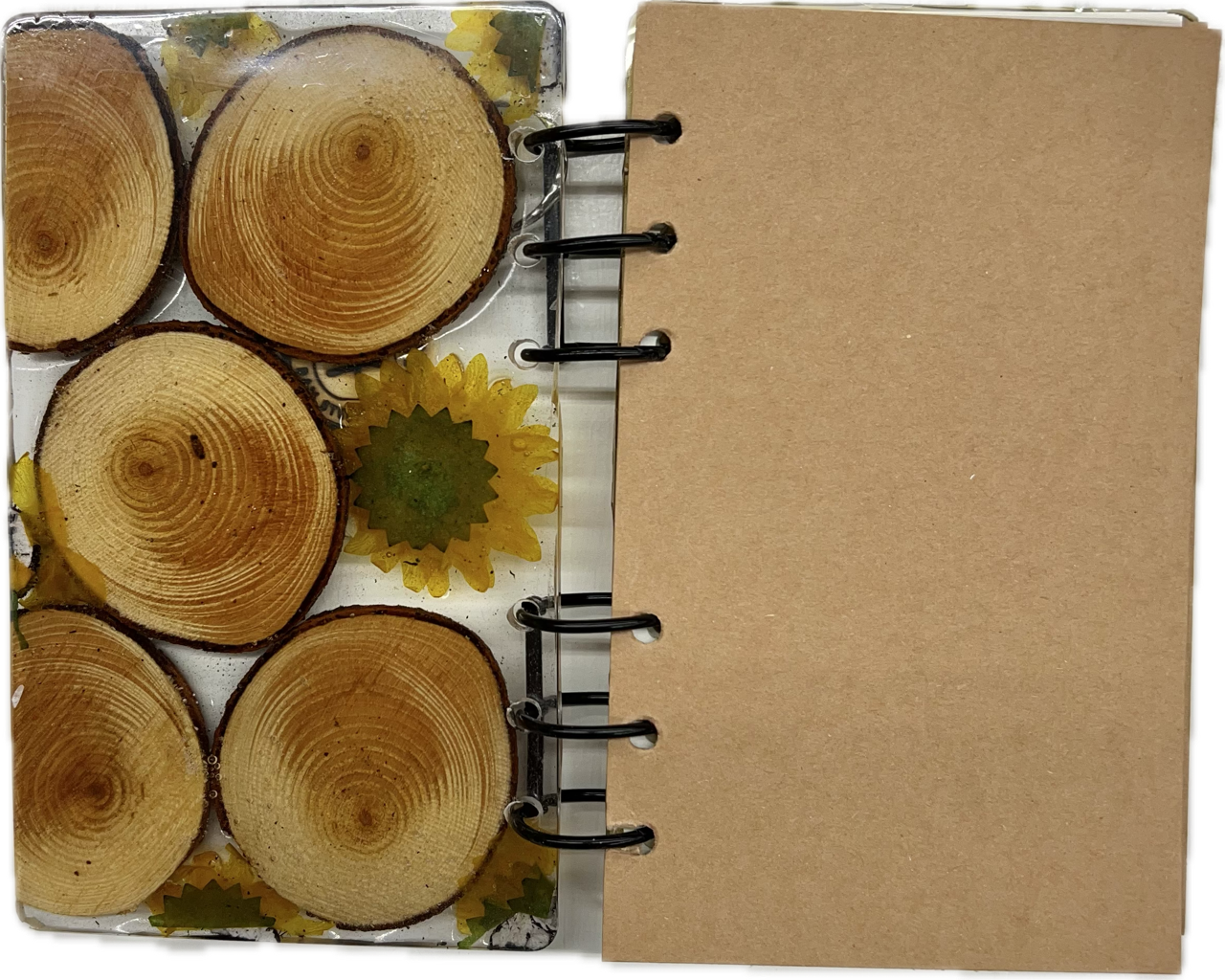 
                  
                    Bee Journal (Small)
                  
                