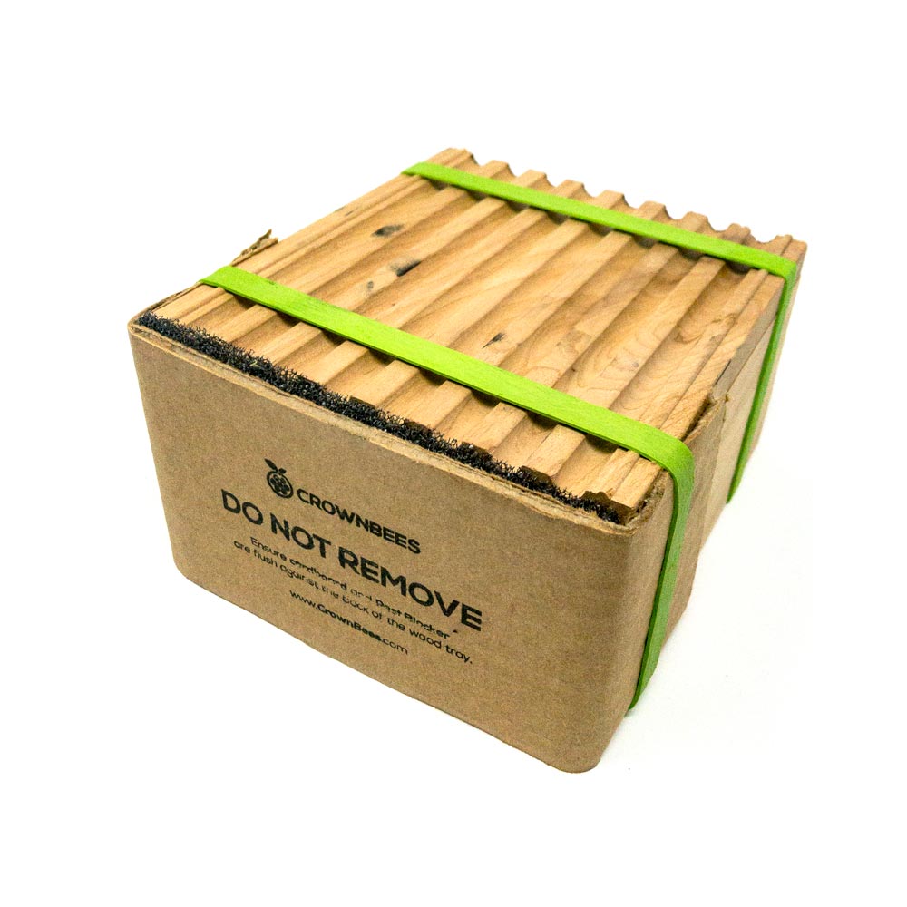 Pest Blocker(TM) for Wood Trays