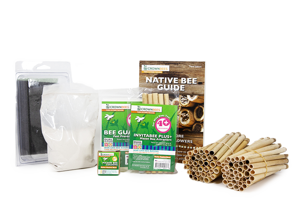 Spring 70 ct Reeds & 20 mason bees