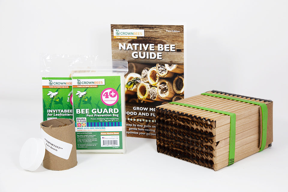 Summer 78-cavity Wood Tray and 200 leafcutter bees