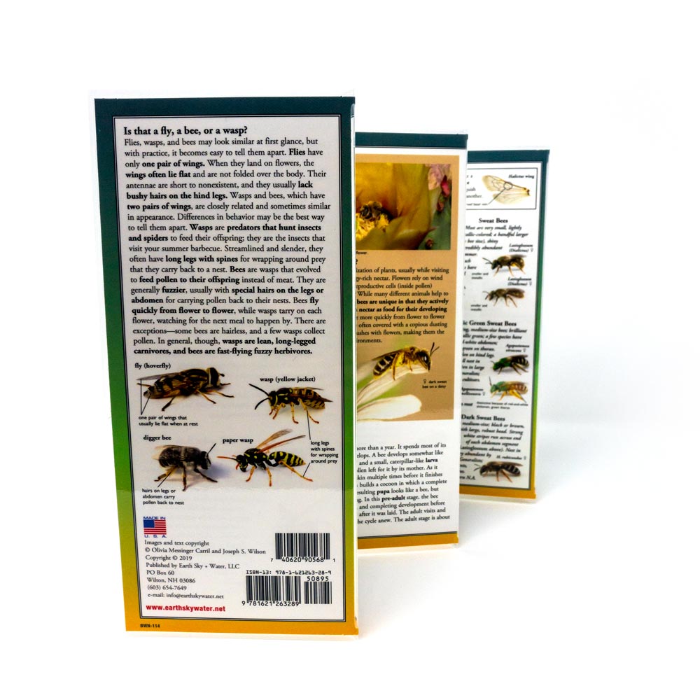 
                  
                    Common Bees of Western North America - Identification Guide
                  
                