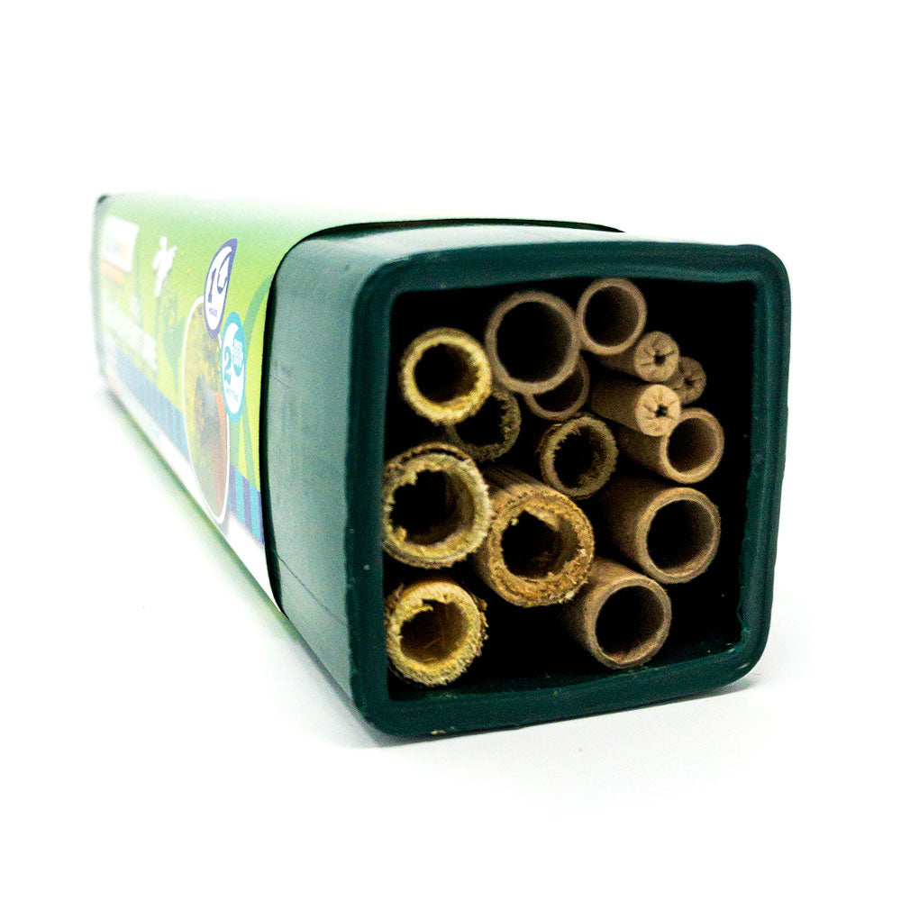Wild Bee Adventure