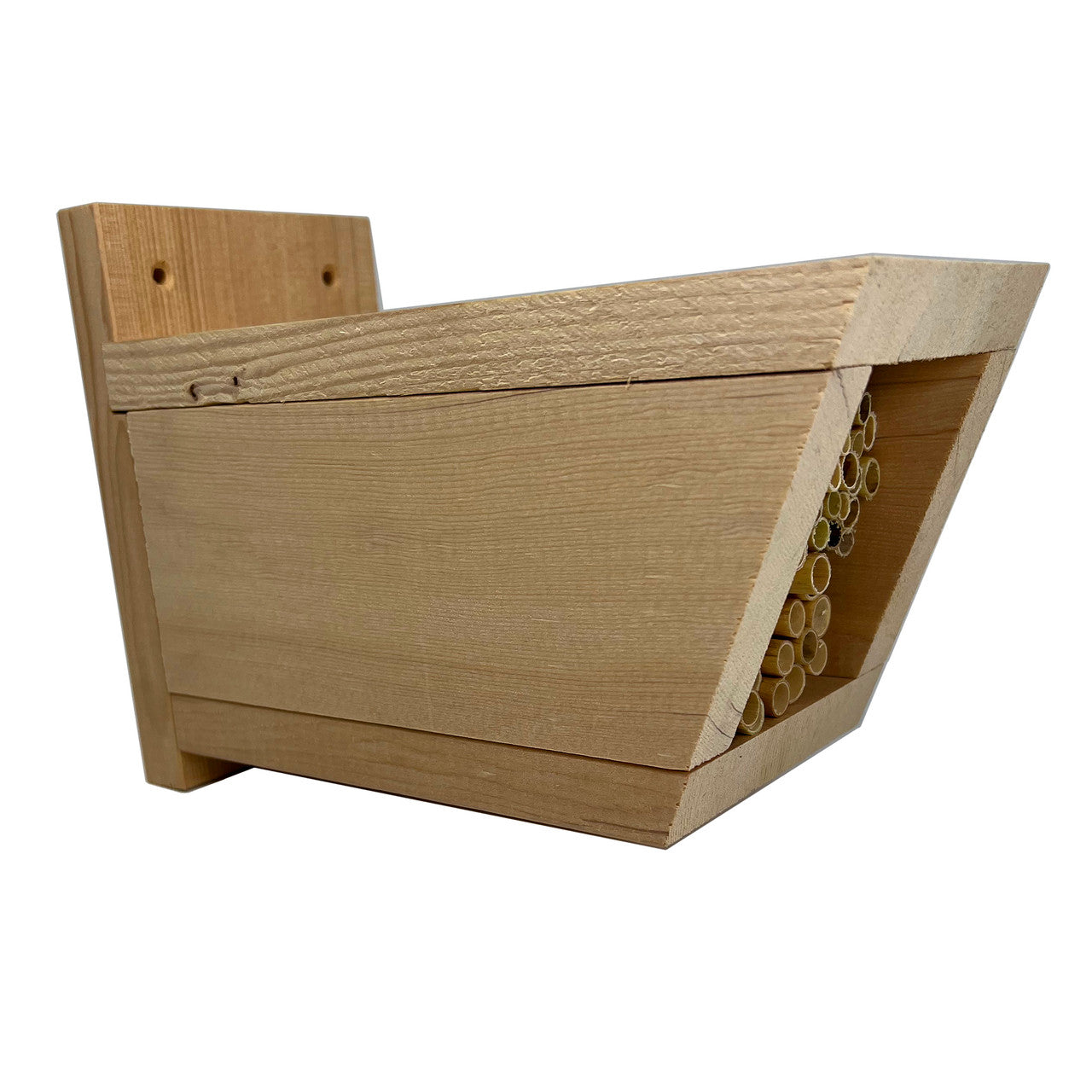 Build-A-Bee House with Wild Bee Pollinator Pack