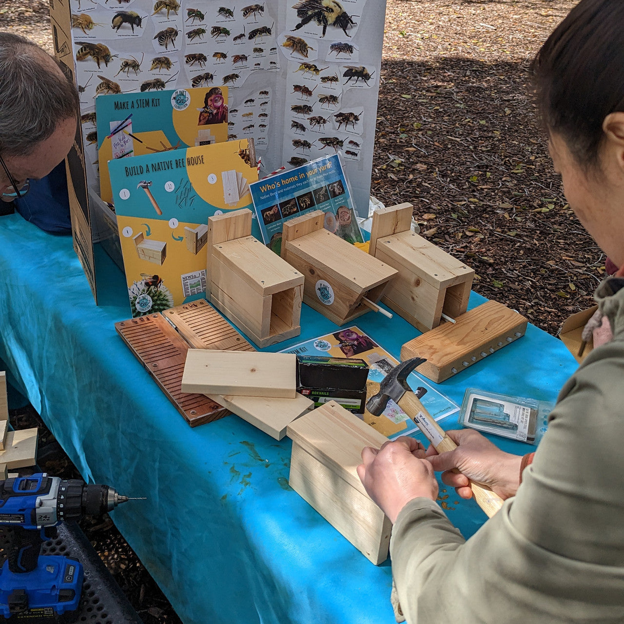 Build-A-Bee House with Wild Bee Pollinator Pack