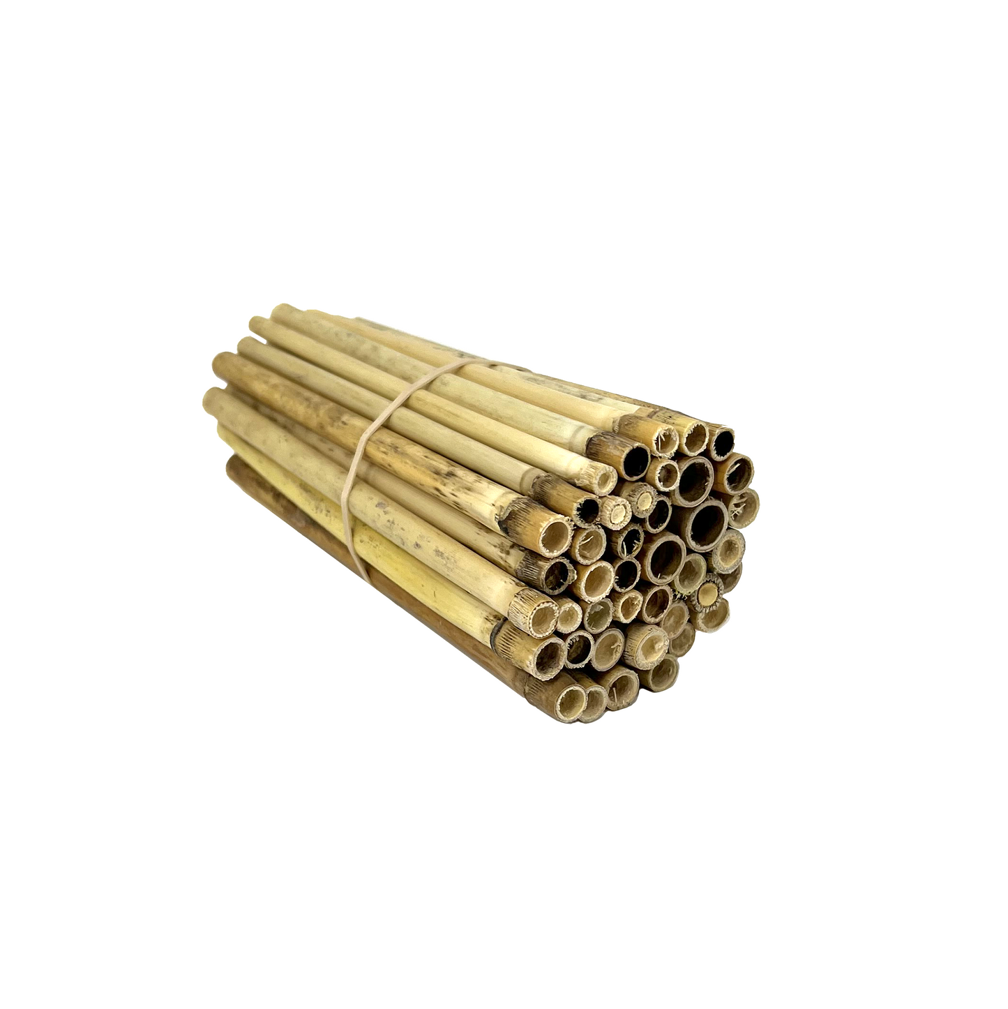 Pollinator Pack for Wild Bees - 40 ct