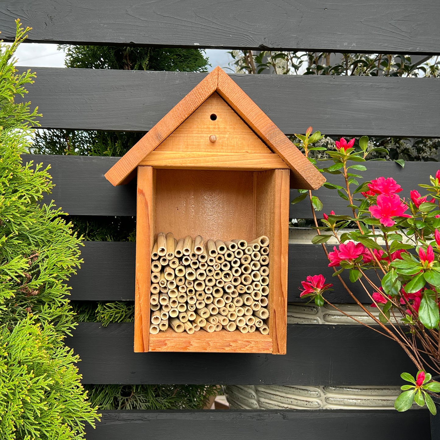 Tower Cedar Bee House