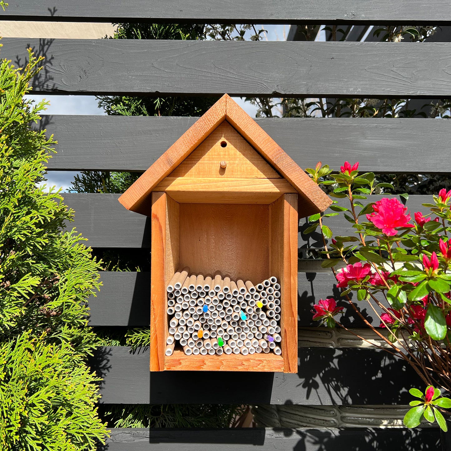 Spring Cardboard BeeTubes and Inserts for Mason Bees - 8mm