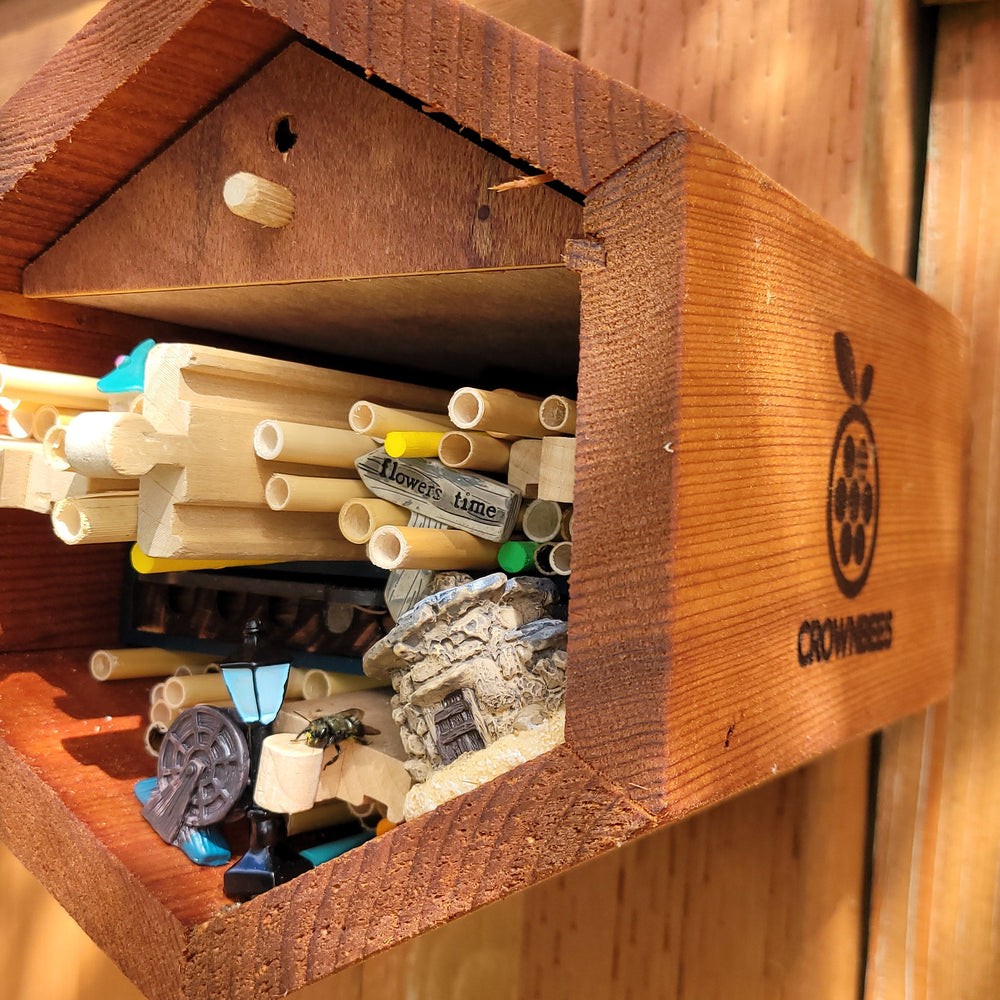 Show Off Your Bee House & Win! 🏡🐝