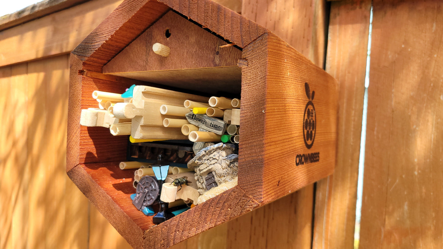 Show Off Your Bee House & Win! 🏡🐝